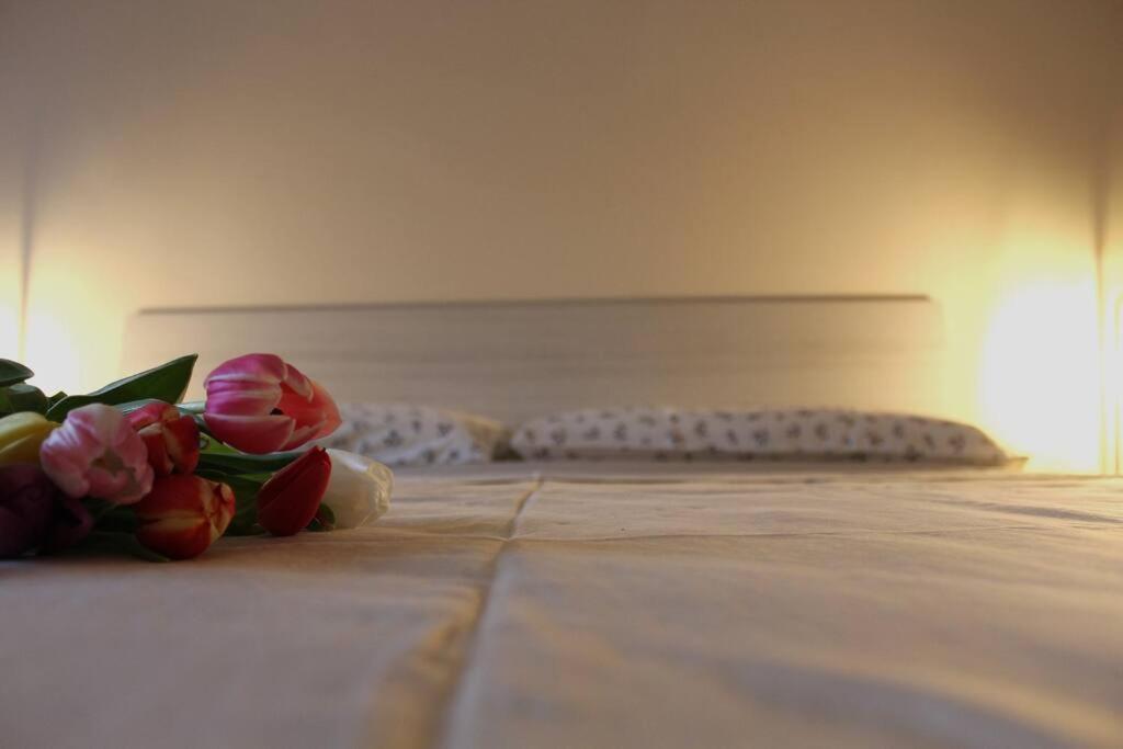 Venere Apartment Бергамо Екстериор снимка